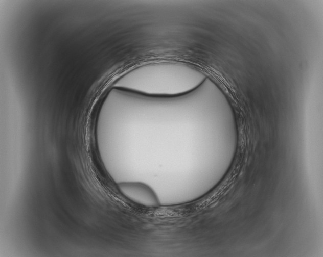 X0000116670290200912140951