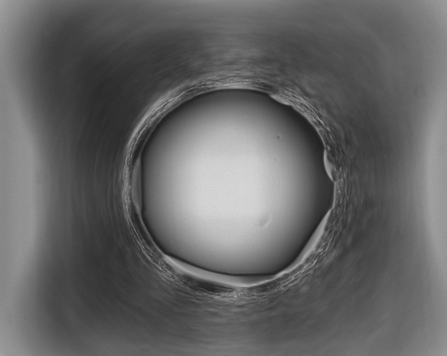 X0000116670293200912140951