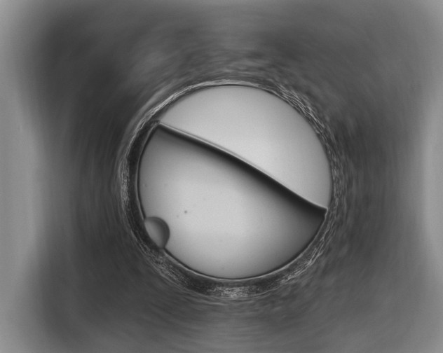 X0000116670295200912140951