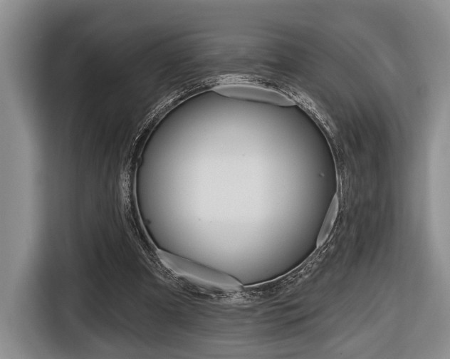 X0000116670297200912140951