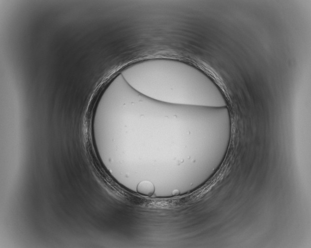 X0000116670298200912140951