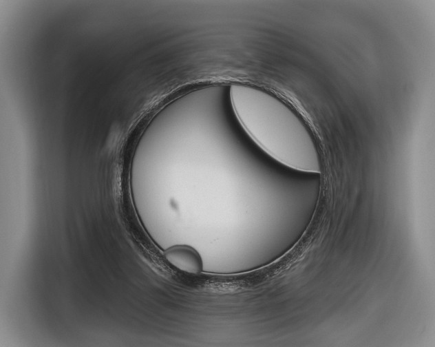 X0000116670299200912140951