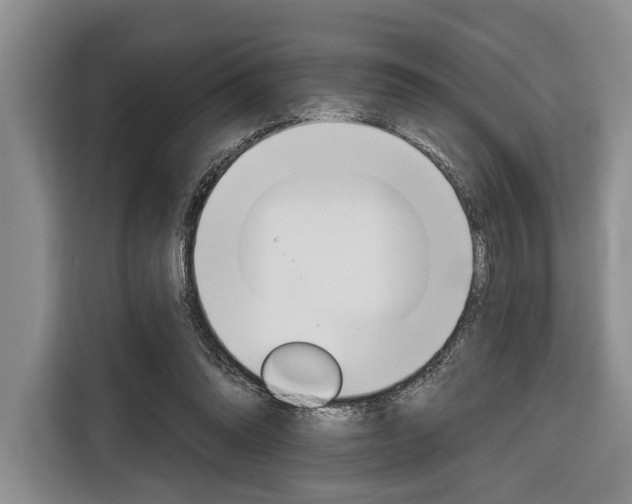 X0000116670302200912140951