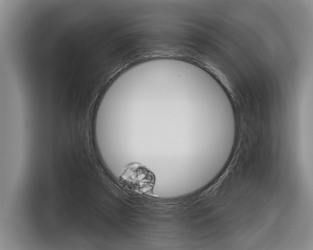 X0000116670305200912140950