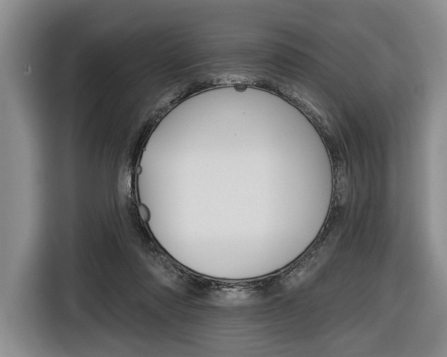 X0000116670310200912140950