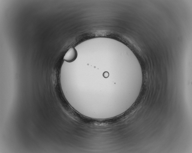 X0000116670311200912140950