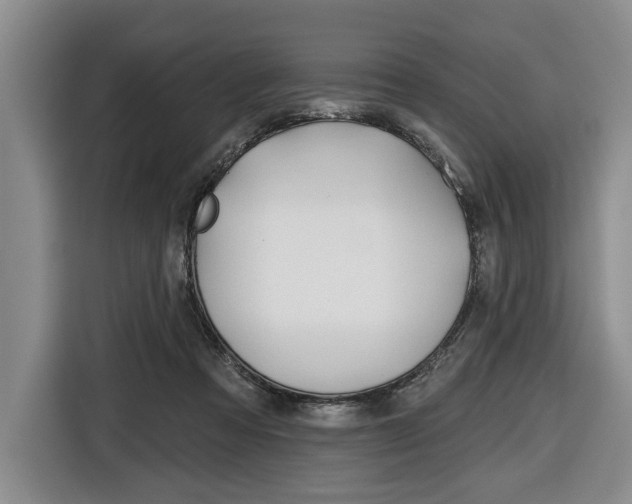 X0000116670313200912140950