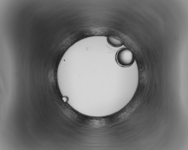 X0000116670317200912140950