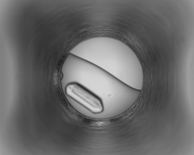X0000116670323200912140950