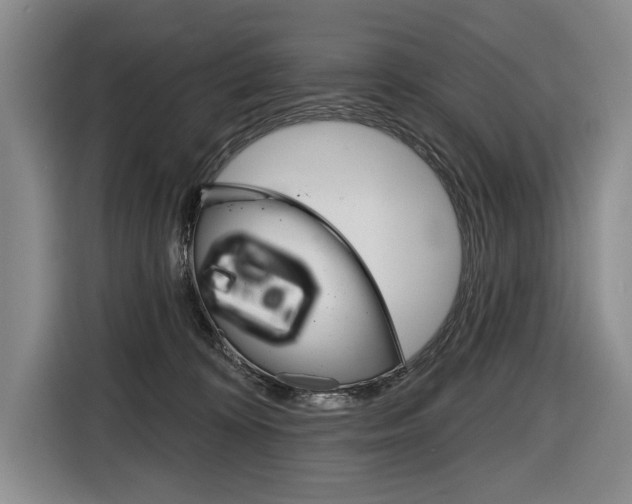 X0000116670324200912140950