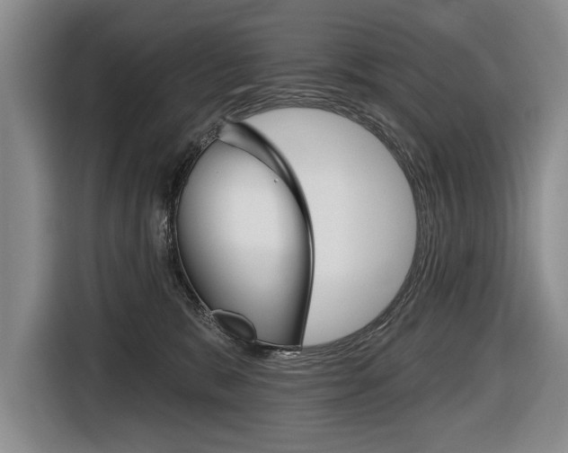 X0000116670327200912140950