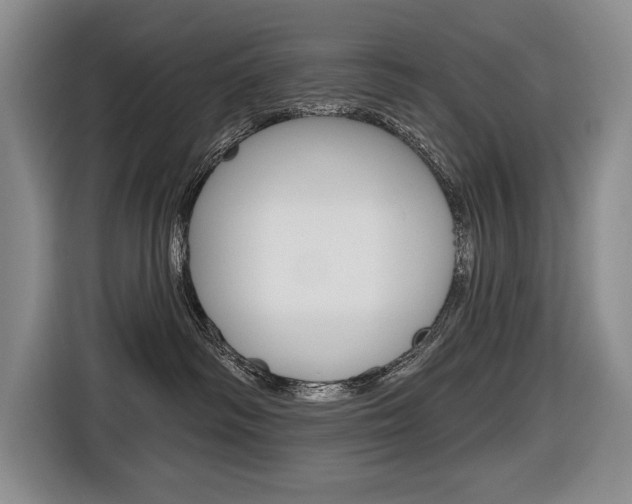 X0000116670334200912140950
