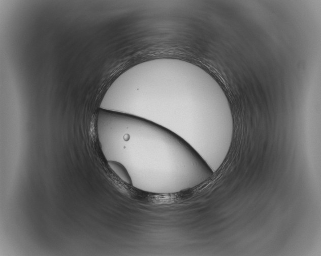 X0000116670335200912140950