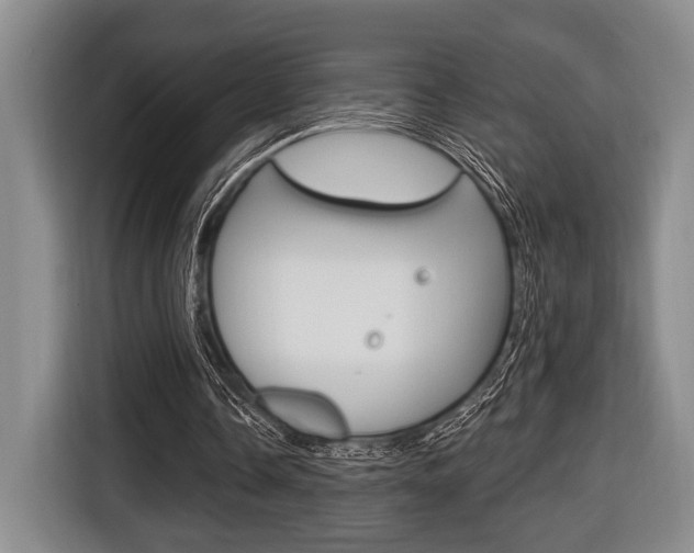 X0000116670338200912140949