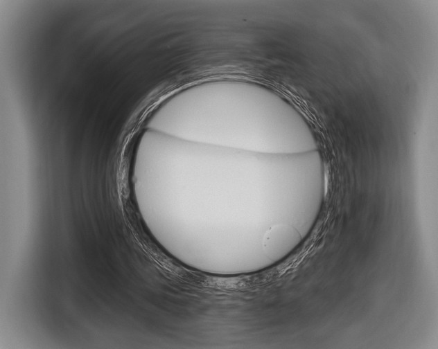 X0000116670339200912140949