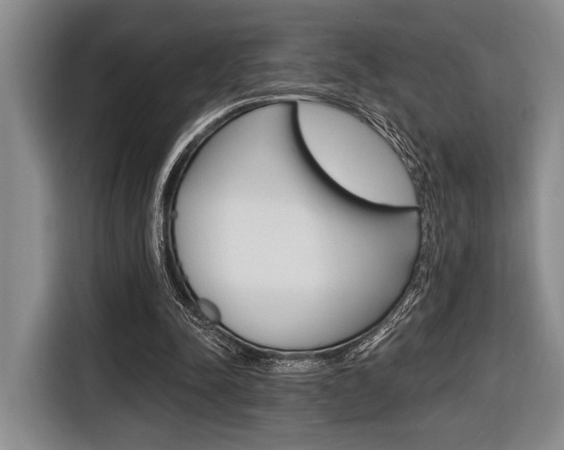 X0000116670342200912140950