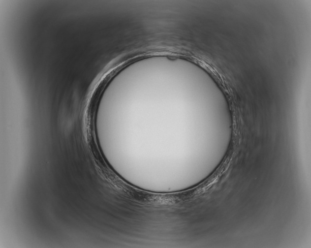 X0000116670343200912140950