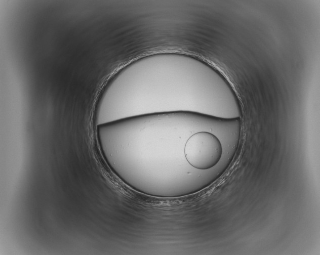 X0000116670345200912140950
