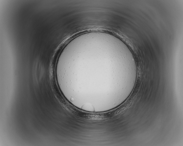 X0000116670347200912140950