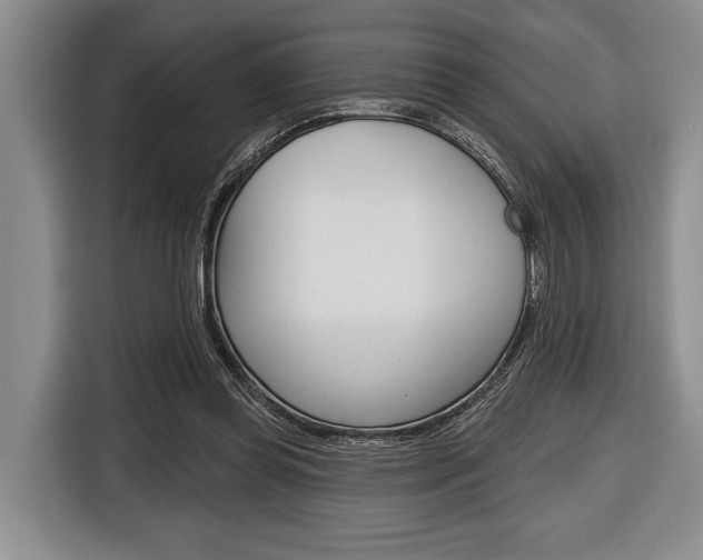 X0000116670349200912140950