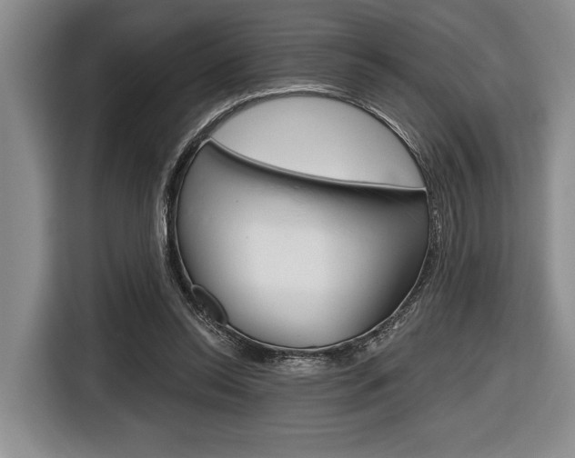 X0000116670350200912140950