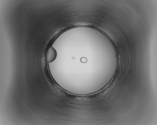 X0000116670351200912140950