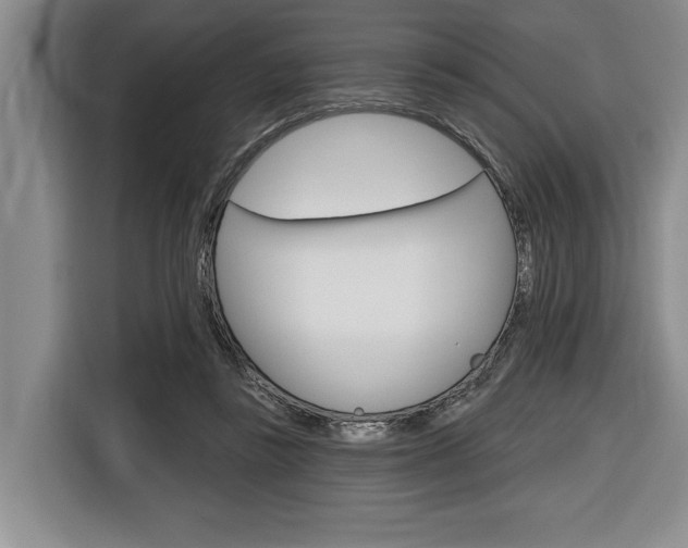 X0000116670355200912140950
