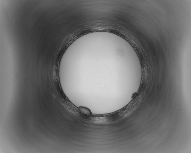 X0000116670361200912140950