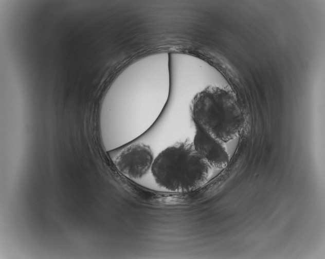 X0000116670365200912140950