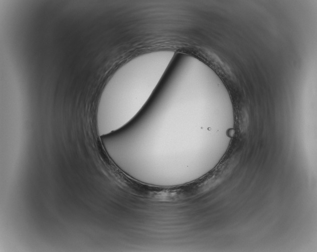 X0000116670366200912140950