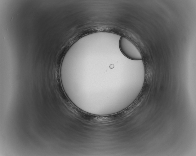 X0000116670367200912140950