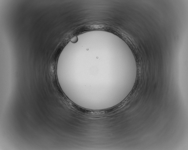 X0000116670373200912140950