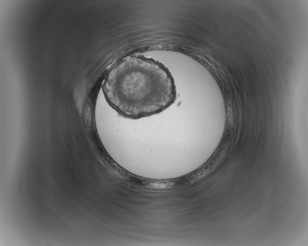 X0000116670375200912140950