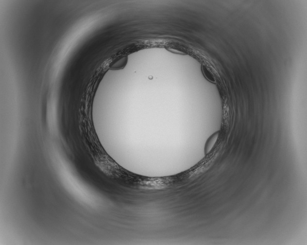 X0000116670381200912140950