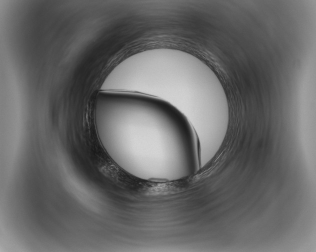 X0000116670382200912140950