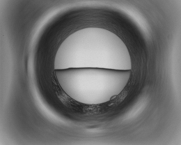 X0000116670383200912140950