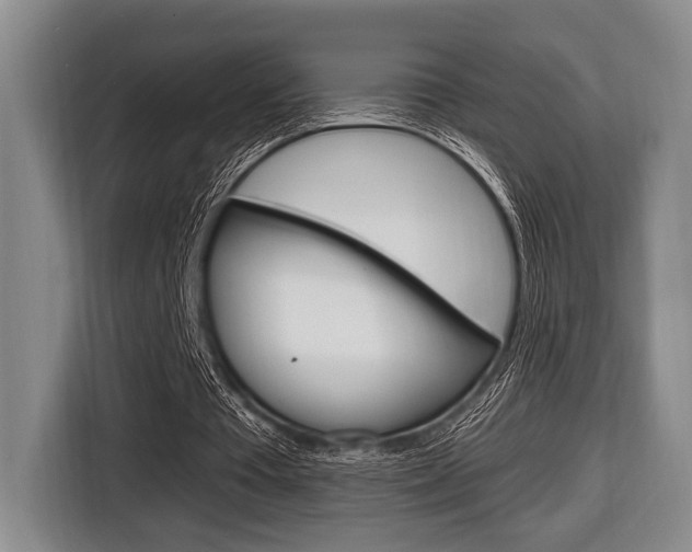 X0000116670385200912140949