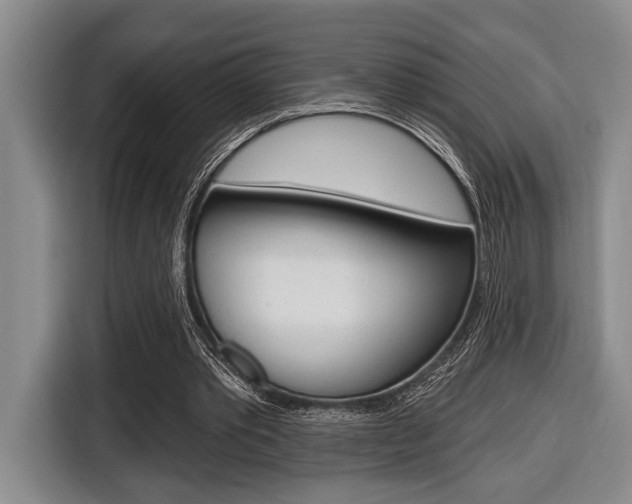 X0000116670389200912140949