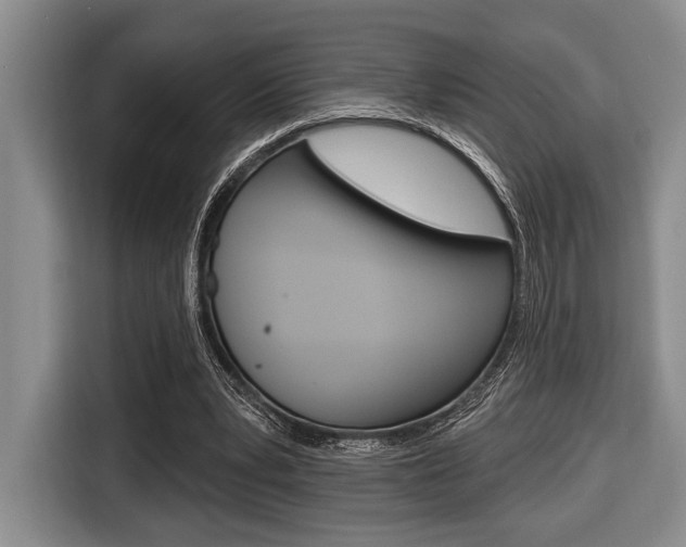 X0000116670391200912140949