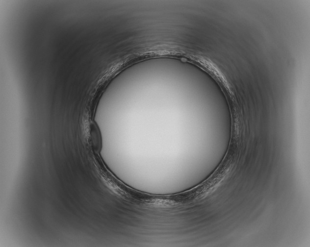 X0000116670393200912140949
