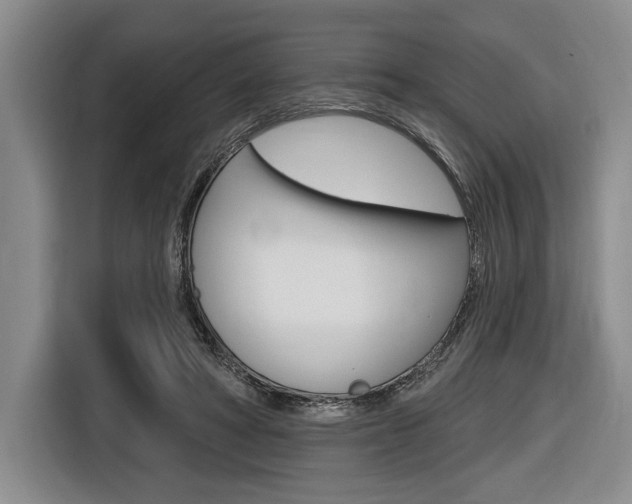 X0000116670402200912140949