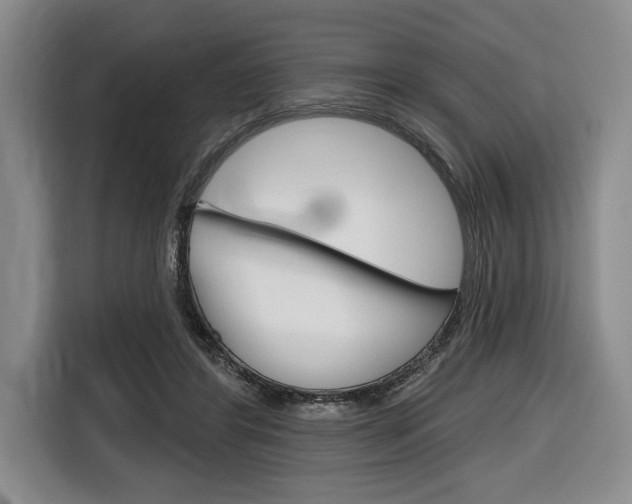 X0000116670404200912140949