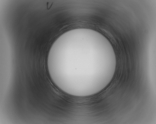X0000116670409200912140949