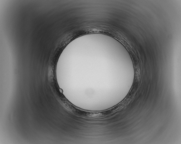 X0000116670410200912140949