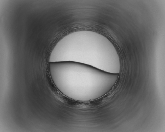 X0000116670412200912140949