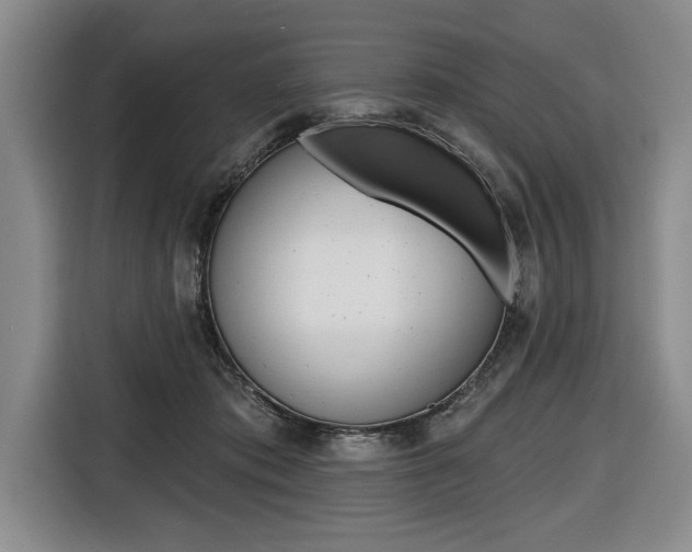 X0000116670413200912140949