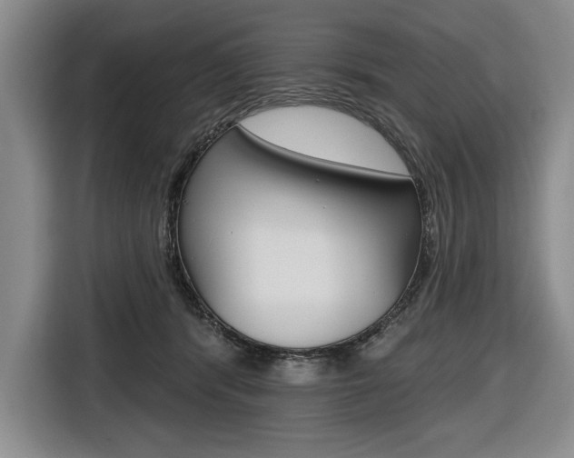 X0000116670416200912140949
