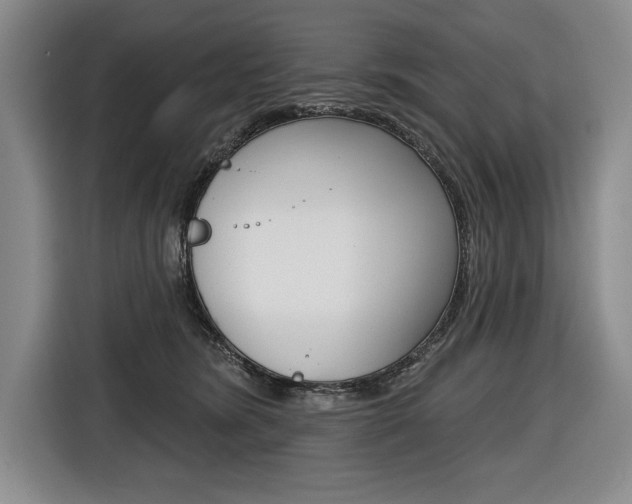 X0000116670420200912140949