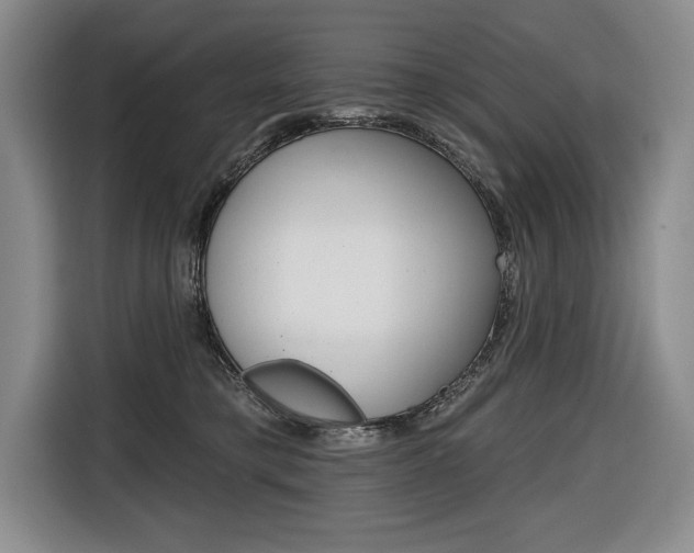 X0000116670421200912140949