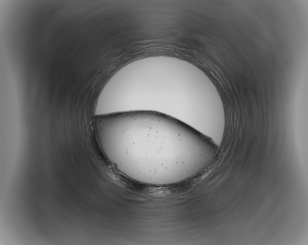 X0000116670424200912140949